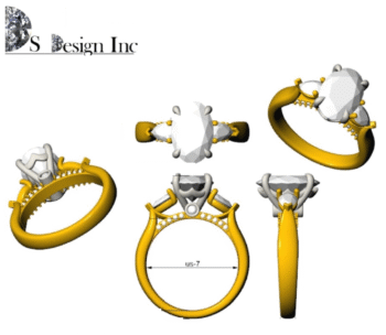 DSE240061-C300